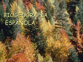 BIOGEOGRAFÍA  ESPAÑOLA   