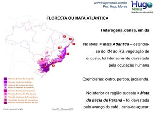 www.hugomorais.com.br
Prof. Hugo Morais
Heterogêna, densa, úmida
No litoral = Mata Atlântica – estendia-
se do RN ao RS, vegetação de
encosta, foi intensamente devastada
pela ocupação humana
Exemplares: cedro, peroba, jacarandá.
No interior da região sudeste = Mata
da Bacia do Paraná – foi devastada
pelo avanço do café , cana-de-açucar.
FLORESTA OU MATA ATLÂNTICA
 