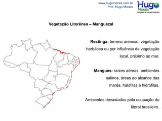 www.hugomorais.com.br
Prof. Hugo Morais
Restinga: terreno arenoso, vegetação
herbácea ou por influência da vegetação
local, próximo ao mar.
Mangues: raízes aéreas, ambientes
salinos, áreas ao alcance das
marés, halófilas e hidrófilas.
Ambientes devastados pela ocupação do
litoral brasileiro.
Vegetação Litorênea – Manguezal
 