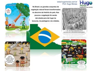 www.hugomorais.com.br
Prof. Hugo Morais
No Brasil, os grandes conjuntos de
vegetação natural foram transformados
no decorrer da história do país. Aos
poucos a vegetação foi sendo
derrubada para dar lugar às
lavouras, às pastagens e às cidades.
 