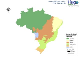www.hugomorais.com.br
Prof. Hugo Morais
 