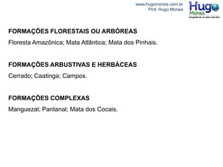 www.hugomorais.com.br
Prof. Hugo Morais
FORMAÇÕES FLORESTAIS OU ARBÓREAS
Floresta Amazônica; Mata Atlântica; Mata dos Pinhais.
FORMAÇÕES ARBUSTIVAS E HERBÁCEAS
Cerrado; Caatinga; Campos.
FORMAÇÕES COMPLEXAS
Manguezal; Pantanal; Mata dos Cocais.
 