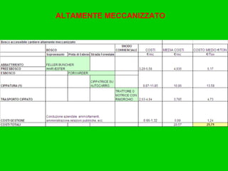 ALTAMENTE MECCANIZZATO 