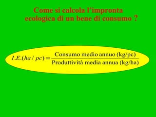 Come si calcola l’impronta  ecologica di un bene di consumo   ? 