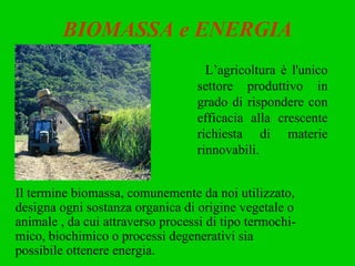 BIOMASSA e ENERGIA L’agricoltura è l'unico settore produttivo in grado di rispondere con efficacia alla crescente richiesta di materie rinnovabili. Il termine biomassa, comunemente da noi utilizzato, designa ogni sostanza organica di origine vegetale o animale , da cui attraverso processi di tipo termochi- mico, biochimico o processi degenerativi sia  possibile ottenere energia. 