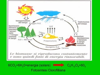6CO 2 +6H 2 0+energia (solare) C 6 H 12 O 6 +60 2 Fotosintesi Clorofilliana 