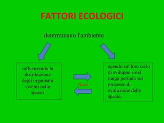 FATTORI ECOLOGICI determinano l'ambiente flussi influenzando la distribuzione degli organismi viventi nello spazio agendo sul loro ciclo di sviluppo e nel lungo periodo sul processo di evoluzione delle specie. 