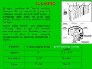 IL LEGNO Il legno, costituito da fibre di cellulosa trattenute da una matrice di lignina, è il materiale ricavato dai fusti delle piante, in particolare dagli alberi ma anche dagli arbusti. Si ricava sia dalle conifere sia dalle latifoglie. Queste piante “perenni” sono caratterizzate dall'avere fusto e rami che crescono concentricamente verso l'esterno di anno in anno e di avere i tessuti composti essenzialmente da cellulosa, emicellulosa e lignina. polimero % sulla sostanza secca potere calorifico inferiore  (MJ/kg) cellulosa 50 17.2 – 17.5 Emicellulosa 10 – 30 16 – 16.4 lignina 20 - 30 26 - 27 