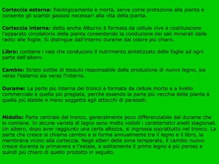 Corteccia esterna:  fisiologicamente  è  morta, serve come protezione alla pianta e consente gli scambi gassosi necessari alla vita della pianta.   Corteccia interna:  detta anche Alburno  è  formata da cellule vive e costituiscono l'apparato circolatorio della pianta consentendo la conduzione dei sali minerali dalle radici alle foglie. Si distingue dall'interno durame dal colore pi ù  chiaro.   Libro:  contiene i vasi che conducono il nutrimento sintetizzato delle foglie ad ogni parte dell'albero .  Cambio:  Strato sottile di tessuto responsabile della produzione di nuovo legno, sia verso l'esterno sia verso l'interno.  Durame:  La parte pi ù  interna del tronco  è  formata da cellule morte e a livello commerciale  è  quella pi ù  pregiata, perch é  essendo la parte pi ù  vecchia della pianta  è  quella pi ù  stabile e meno soggetta agli attacchi di parassiti.  Midollo:  Parte centrale del tronco, generalmente poco differenziabile dal durame che lo contiene. In alcune variet à  di legno sono molto visibili i caratteristici anelli stagionali. Un albero, dopo aver raggiunto una certa altezza, si ingrossa soprattutto nel tronco. La parte che cresce si chiama cambio e si forma annualmente tra il legno e il libro, la membrana vicino alla corteccia. Negli alberi delle zone temperate, il cambio nuovo cresce durante la primavera e l'estate, e solitamente il primo legno  è  pi ù  poroso e quindi pi ù  chiaro di quello prodotto in seguito.   