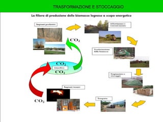 TRASFORMAZIONE E STOCCAGGIO 