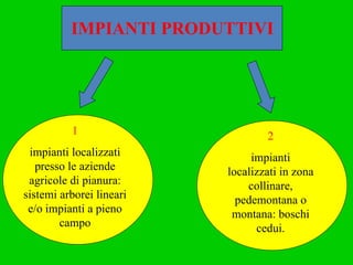 IMPIANTI PRODUTTIVI 2 impianti localizzati in zona collinare, pedemontana o montana: boschi cedui. 1 impianti localizzati presso le aziende agricole di pianura: sistemi arborei lineari e/o impianti a pieno campo 