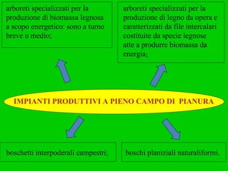 IMPIANTI PRODUTTIVI A PIENO CAMPO DI  PIANURA arboreti specializzati per la produzione di biomassa legnosa a scopo energetico: sono a turno breve o medio; arboreti specializzati per la produzione di legno da opera e caratterizzati da file intercalari costituite da specie legnose atte a produrre biomassa da energia; boschetti interpoderali campestri; boschi planiziali naturaliformi. 