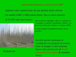Arboreti da biomassa a turno breve SRF impianti sono caratterizzati da una densità molto elevata (in media 8.000-12.000 piante/ettaro, fino a valori massimi di 20.000 individui/ettaro). specie arboree impiegate: salice e in alcuni casi l’eucalipto, la robinia (Agostinetto, 2004 b) o la paulownia (Brocchi Colonna e Cortiana, 2004).  Si tratta sempre di popolamenti puri, mono-specifici. In coltivazioni realizzate in Lombardia con progetti di ricerca, cloni di pioppo a turno annuale hanno dato produzioni di  30-40 tonnellate/ettaro/anno  di sostanza fresca Produttività 