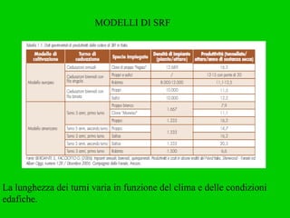 MODELLI DI SRF La lunghezza dei turni varia in funzione del clima e delle condizioni edafiche. 