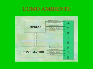 UOMO AMBIENTE 
