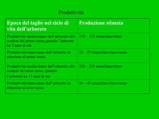 Produttività Epoca del taglio nel ciclo di vita dell’arboreto Produzione stimata Produttività media/ettaro dell’arboreto allo scadere del primo turno,quando l’arboreto ha 5 anni di età 110 – 125 tonnellate/ettaro Produttività/ettaro/anno dell’arboreto in relazione al primo turno 22 – 25 tonnellate/ettaro/anno Produttività media/ettaro dell’arboreto allo scadere del terzo turno, quando l’arboreto ha 15 anni di età 220 – 225 tonnellate/ettaro Produttività/ettaro/anno dell’arboreto in relazione al terzo turno 44 – 45 tonnellate/ettaro/anno 