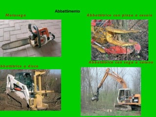 Abbattimento Motosega Abbattitrice con sega a catena Abbattitrice a disco Abbattitrice con pinza a cesoia 