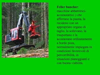Feller buncher : macchine abbattitrici-accatastatrici ) che afferrano la pianta, la recidono con un appropriato organo di taglio, la sollevano, la trasportano e la accatastano ordinatamente a bordo pista, normalmente impiegata in condizioni favorevoli di percorribilità, in situazioni pianeggianti e con buona viabilità. 