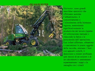 GLI  HARVESTER Harvester : sono grandi macchine operatrici che effettuano assieme l’abbattimento, il concentramento e l’allestimento della biomassa legnosa, aumentando significativamente la produttività del lavoro rispetto all’utilizzazione manuale e riducendo la fatica e la pericolosità dell’operazione. Essi infatti afferrano, abbattono e concentrano le piante oggetto della raccolta, sramano i fusti con appositi coltelli, li depezzano a misure prefissate (per mezzo di un sensore e di un calcolatore) e ammassano separatamente i toppi e la ramaglia con i cimali 