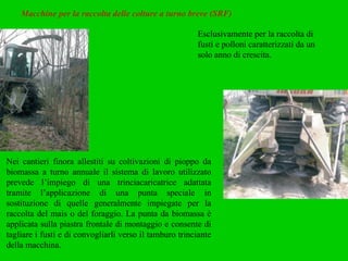 Macchine per la raccolta delle colture a turno breve (SRF) Esclusivamente per la raccolta di fusti e polloni caratterizzati da un solo anno di crescita. Nei cantieri finora allestiti su coltivazioni di pioppo da biomassa a turno annuale il sistema di lavoro utilizzato prevede l’impiego di una trinciacaricatrice adattata tramite l’applicazione di una punta speciale in sostituzione di quelle generalmente impiegate per la raccolta del mais o del foraggio. La punta da biomassa è applicata sulla piastra frontale di montaggio e consente di tagliare i fusti e di convogliarli verso il tamburo trinciante della macchina. 