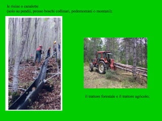 le risine o canalette  (solo su pendii, presso boschi collinari, pedemontani o montani); il trattore forestale e il trattore agricolo; 