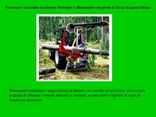 Processore montato su trattore forestale e alimentato con presa di forza di quest’ultimo Processori  (sramatura e depezzatura) su trattori o su carrello su teleferica: attrezzatura in grado di afferrare i tronchi abbattuti e sramarli, scortecciarli e tagliarli in toppi di lunghezza desiderata 