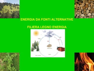 ENERGIA DA FONTI ALTERNATIVE FILIERA LEGNO   ENERGIA 