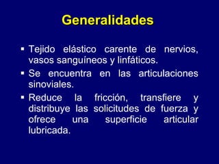 Generalidades Tejido el ástico carente de nervios, vasos sanguíneos y linfáticos. Se encuentra en las articulaciones sinoviales. Reduce la fricción, transfiere y distribuye las solicitudes de fuerza y ofrece una superficie articular lubricada. 