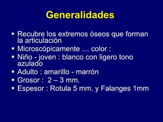 Generalidades Recubre los extremos óseos que forman la articulación Microscópicamente … color : Niño - joven : blanco con ligero tono azulado Adulto : amarillo - marrón Grosor :  2 – 3 mm. Espesor : Rotula 5 mm. y Falanges 1mm 