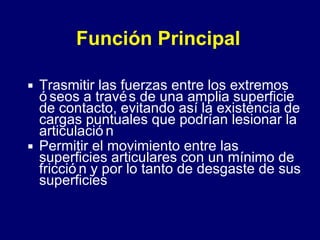 Función Principal   Trasmitir las fuerzas entre los extremos óseos a través de una amplia superficie de contacto, evitando así la existencia de cargas puntuales que podrían lesionar la articulación Permitir el movimiento entre las superficies articulares con un mínimo de fricción y por lo tanto de desgaste de sus superficies 