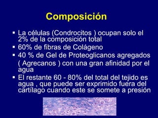 La células (Condrocitos ) ocupan solo el 2% de la composición total 60% de fibras de Colágeno 40 % de Gel de Proteoglicanos agregados ( Agrecanos ) con una gran afinidad por el agua El restante 60 - 80% del total del tejido es agua , que puede ser exprimido fuera del cartílago cuando este se somete a presión Composición   