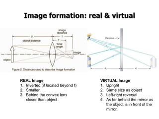 Rect Inverted Real Vitual 6 biophysics of vision 2015 | PPTX