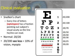 6 biophysics of vision 2015 | PPTX