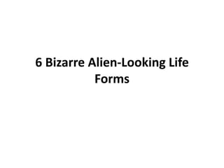 6 Bizarre Alien-Looking Life
           Forms
 