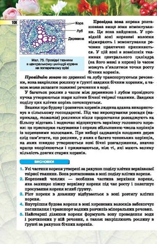 Підручник  з біології 6 клас, Костіков