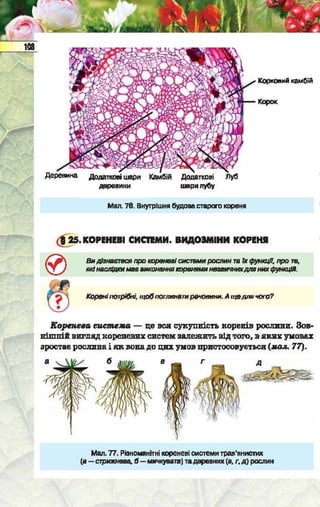Підручник  з біології 6 клас, Костіков