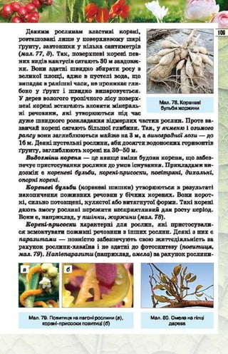 Підручник  з біології 6 клас, Костіков