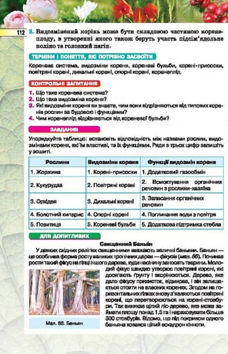 Підручник  з біології 6 клас, Костіков