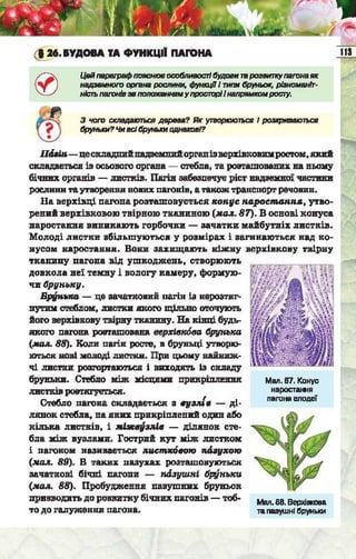Підручник  з біології 6 клас, Костіков