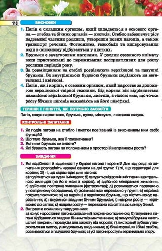 Підручник  з біології 6 клас, Костіков