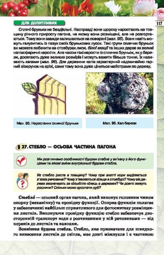 Підручник  з біології 6 клас, Костіков