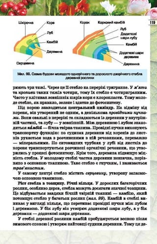 Підручник  з біології 6 клас, Костіков