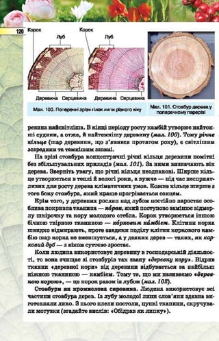Підручник  з біології 6 клас, Костіков