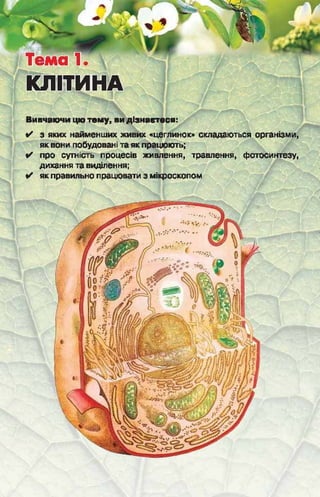 Підручник  з біології 6 клас, Костіков