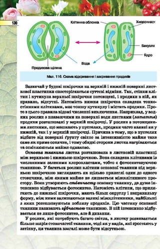 Підручник  з біології 6 клас, Костіков
