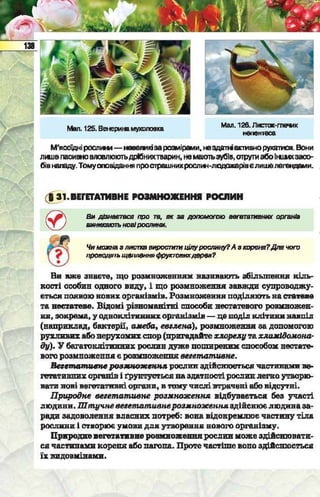 Підручник  з біології 6 клас, Костіков