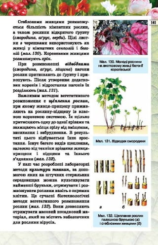 Підручник  з біології 6 клас, Костіков