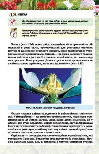 Підручник  з біології 6 клас, Костіков