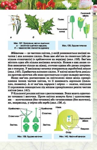 Підручник  з біології 6 клас, Костіков