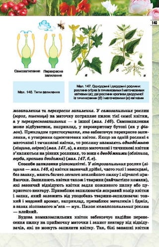 Підручник  з біології 6 клас, Костіков